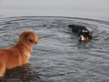 jul-2013-stranden-6