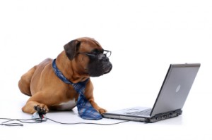 typing dog_under construction